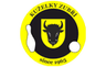 TJ Gumárny Zubří A
